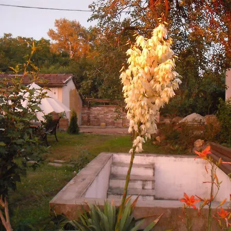 Bed & Breakfast Beck Panzio With Pool